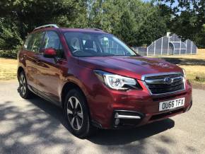 SUBARU FORESTER at Adams Brothers Subaru Aylesbury